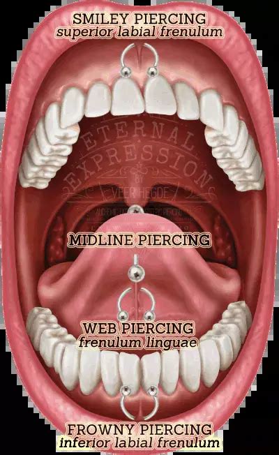 Tongue Piercings: Your Complete Guide